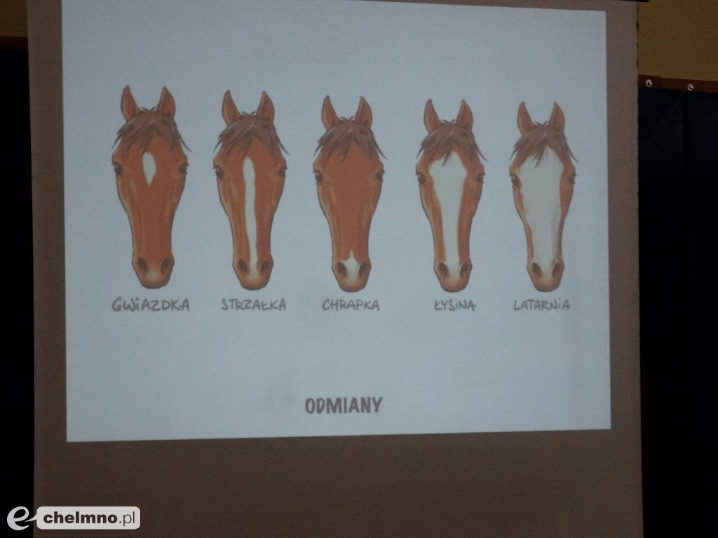 Spotkanie ze Skrzynią Władcy Piorunów