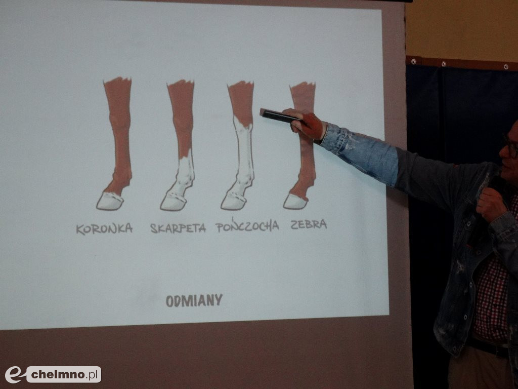 Spotkanie ze Skrzynią Władcy Piorunów