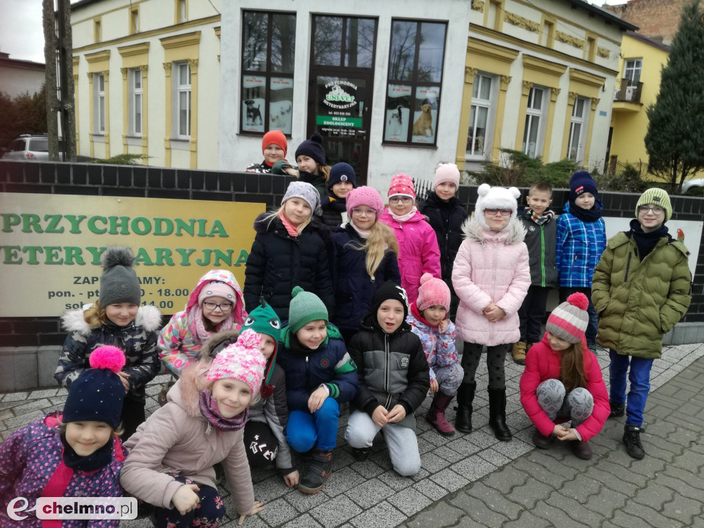 Uczniowie z Czwórki zapoznali się z pracą weterynarza