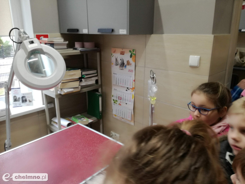 Uczniowie z Czwórki zapoznali się z pracą weterynarza