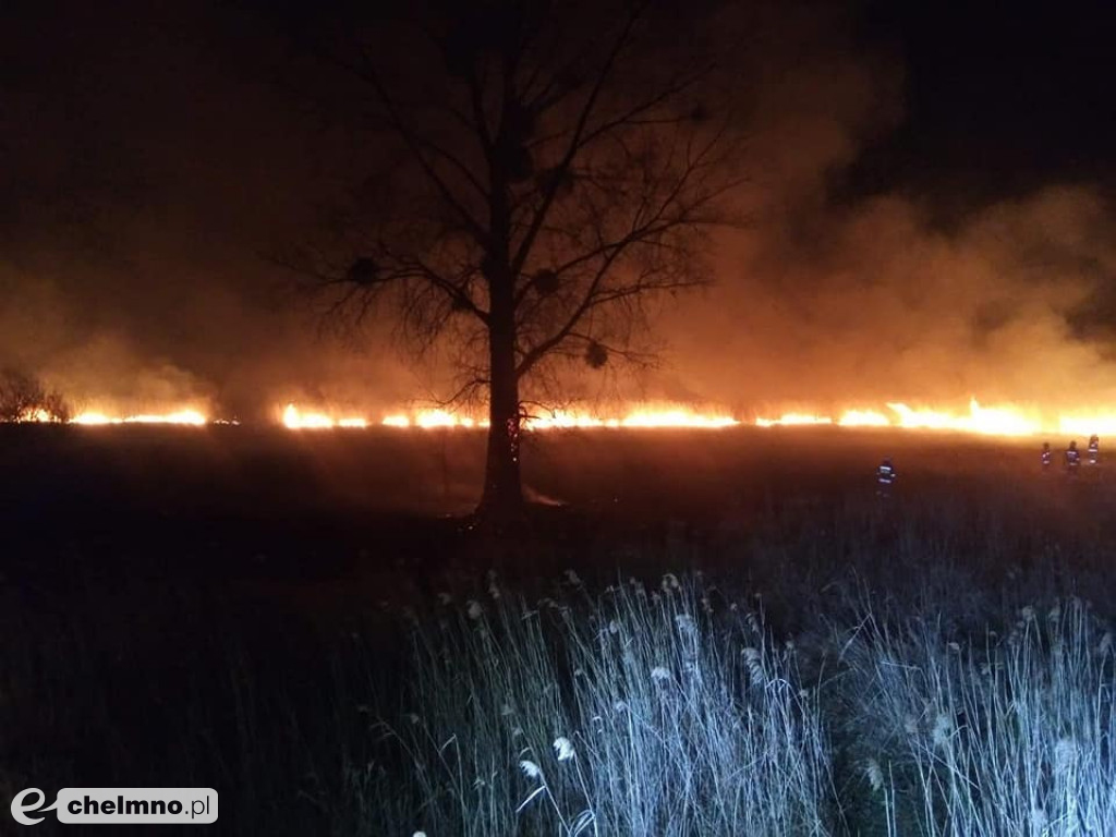 Pożar w Dorposzu Chełmińskim rozprzestrzenił się na duży obszar