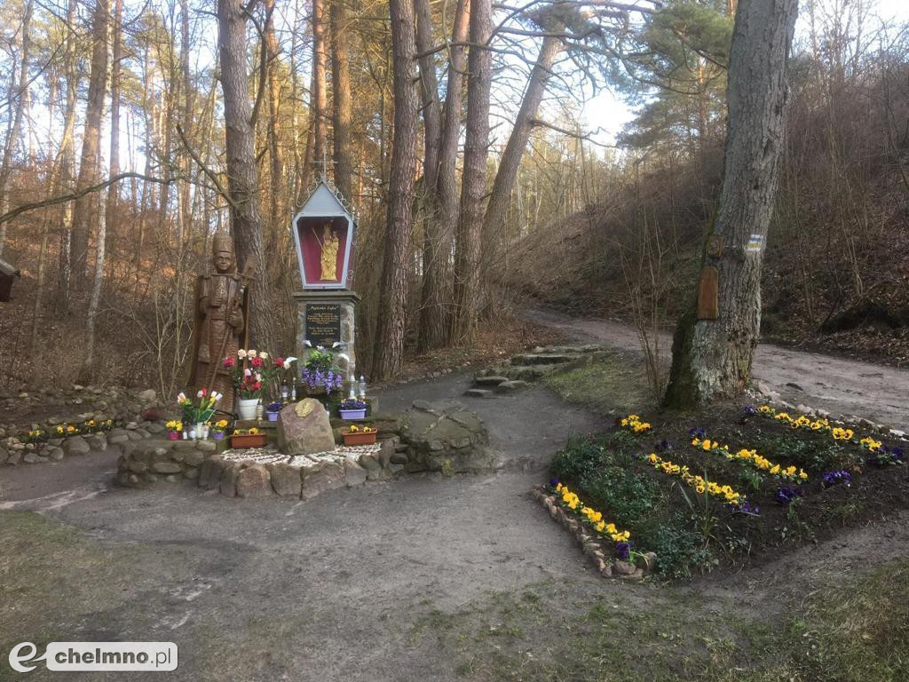 Rozstrzygnięcie konkursu papieskiego
