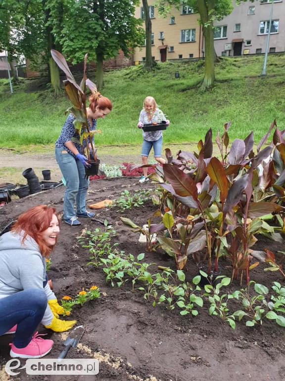 Stare Planty zostały dziś ukwiecone