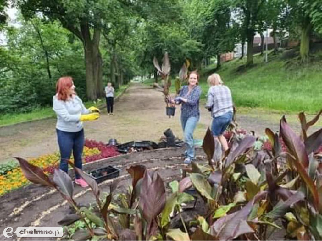 Stare Planty zostały dziś ukwiecone