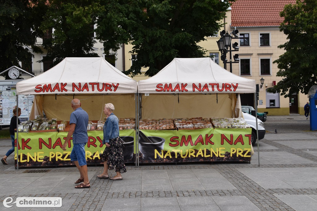 Dobiega końca Chełmiński Jarmark Jaszczurczy