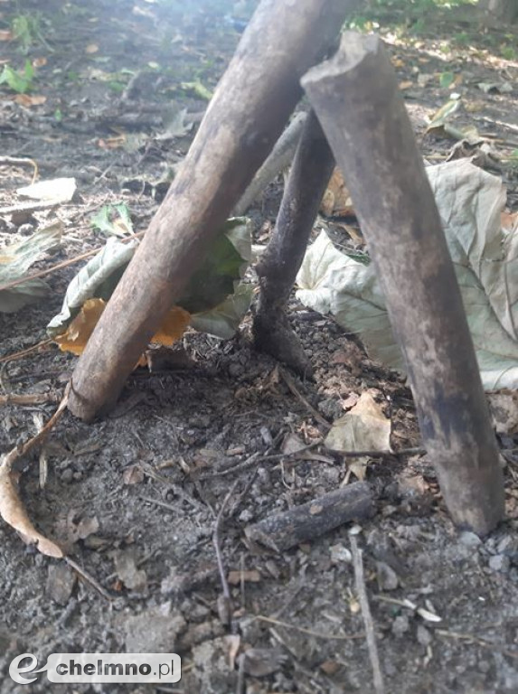 Gratulujemy wszystkim ukończenia gry terenowej