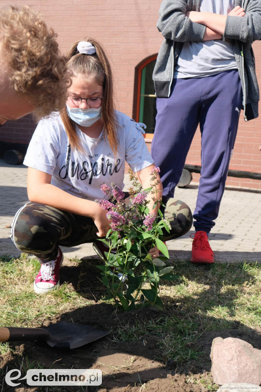 Wokół Jedynki będzie bardziej zielono i kolorowo