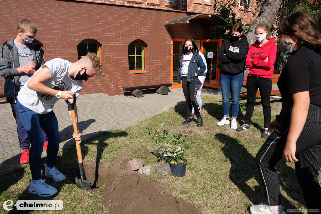 Wokół Jedynki będzie bardziej zielono i kolorowo