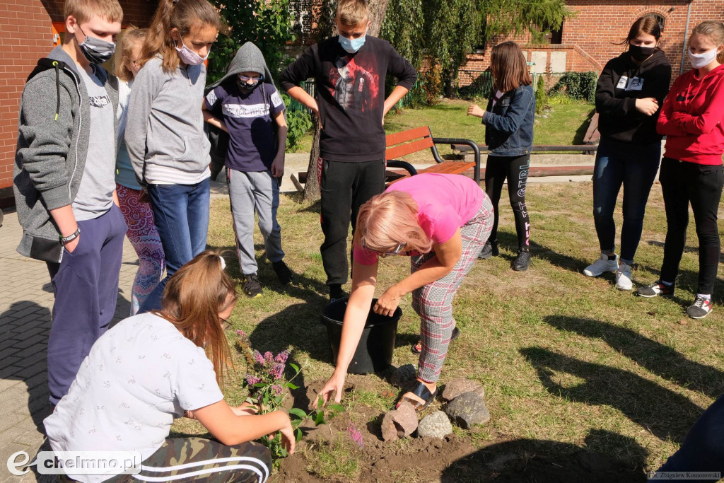 Wokół Jedynki będzie bardziej zielono i kolorowo