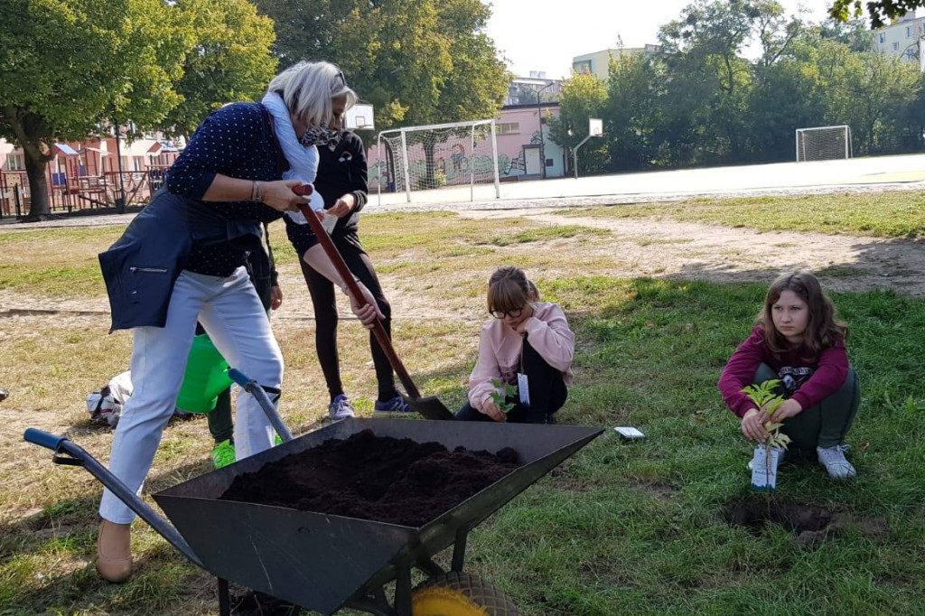 Uczniowie z SP4 wzięli udział w akcji sadzenia drzewek