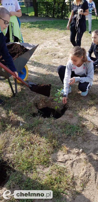 Uczniowie z SP4 wzięli udział w akcji sadzenia drzewek
