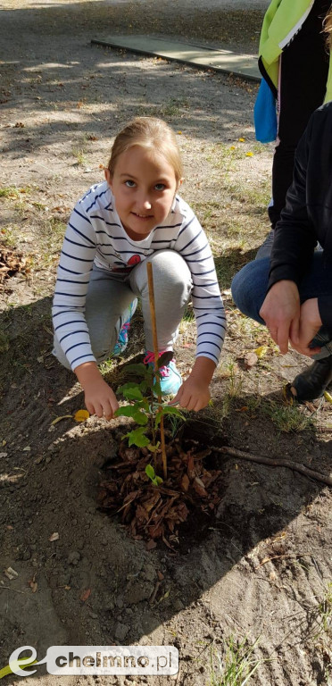 Uczniowie z SP4 wzięli udział w akcji sadzenia drzewek