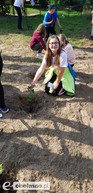 Uczniowie z SP4 wzięli udział w akcji sadzenia drzewek