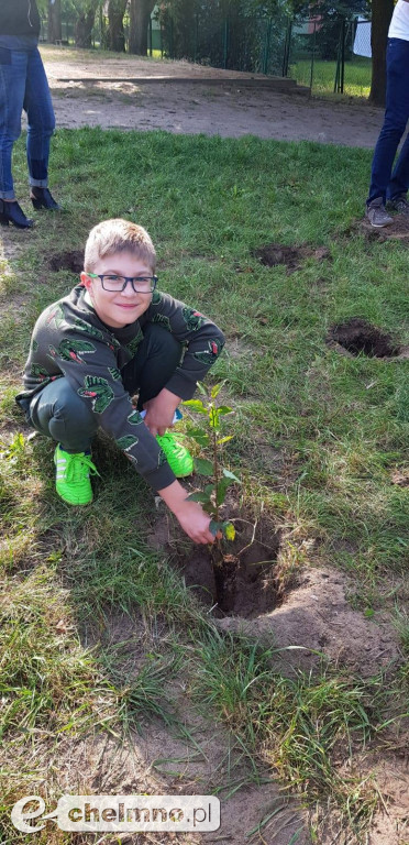 Uczniowie z SP4 wzięli udział w akcji sadzenia drzewek