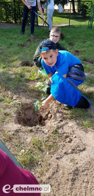 Uczniowie z SP4 wzięli udział w akcji sadzenia drzewek