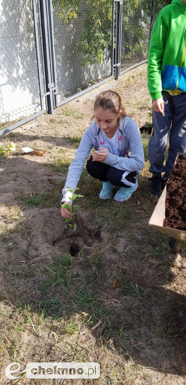 Uczniowie z SP4 wzięli udział w akcji sadzenia drzewek