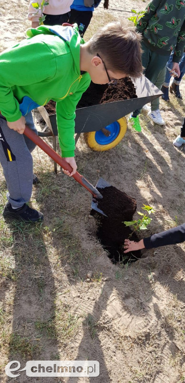 Uczniowie z SP4 wzięli udział w akcji sadzenia drzewek
