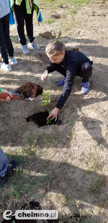 Uczniowie z SP4 wzięli udział w akcji sadzenia drzewek