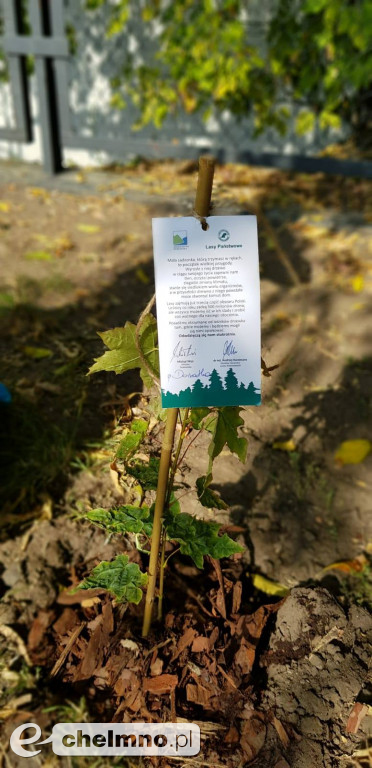 Uczniowie z SP4 wzięli udział w akcji sadzenia drzewek