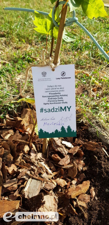 Uczniowie z SP4 wzięli udział w akcji sadzenia drzewek