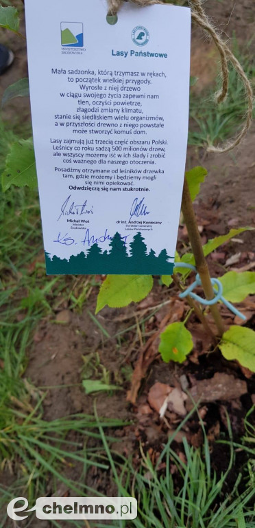 Uczniowie z SP4 wzięli udział w akcji sadzenia drzewek