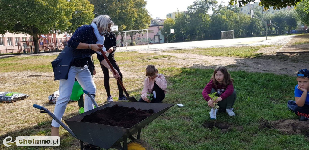 Uczniowie z SP4 wzięli udział w akcji sadzenia drzewek
