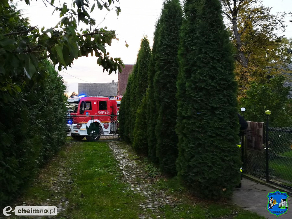 Owady błonkoskrzydłe zagrażały mieszkańcom okolic