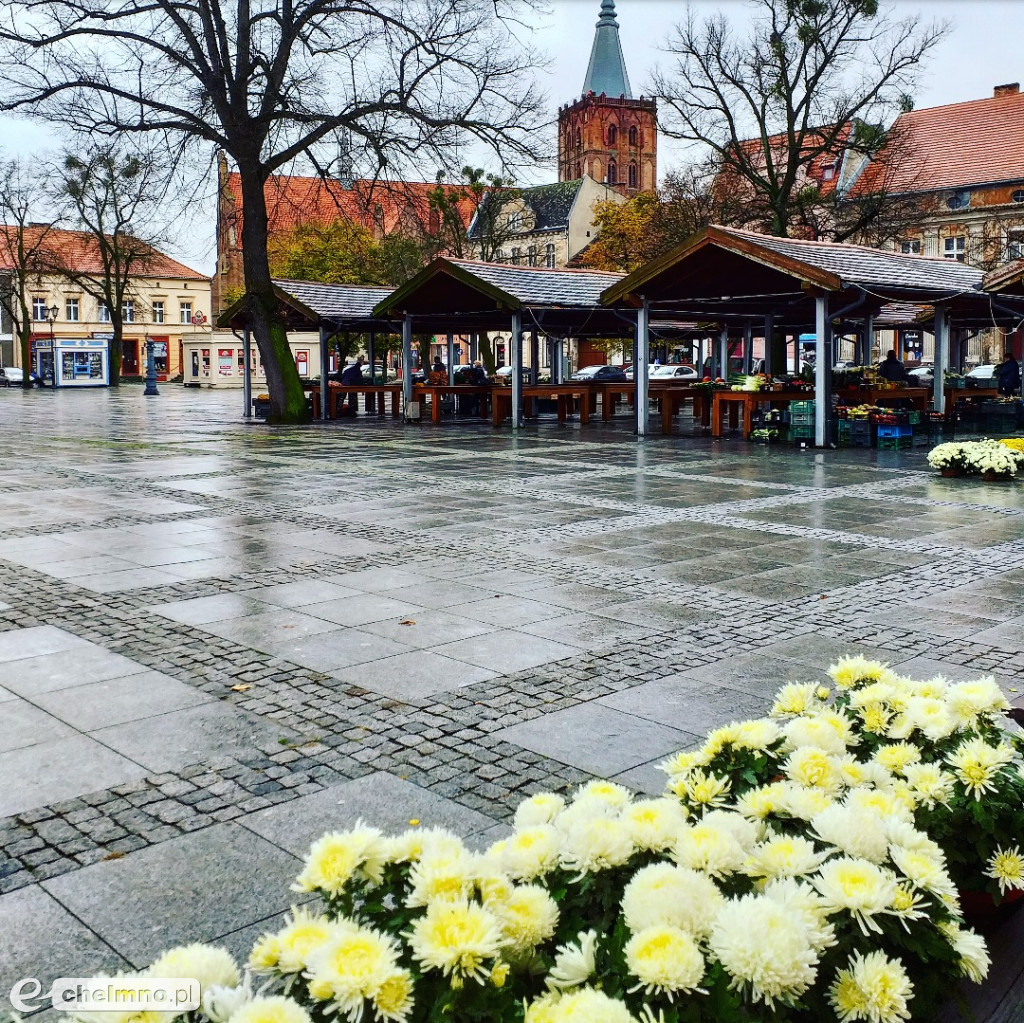 Akcja #zkwiataminamiasto zakończona