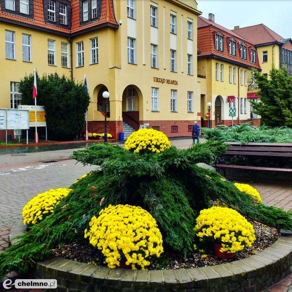 Akcja #zkwiataminamiasto zakończona