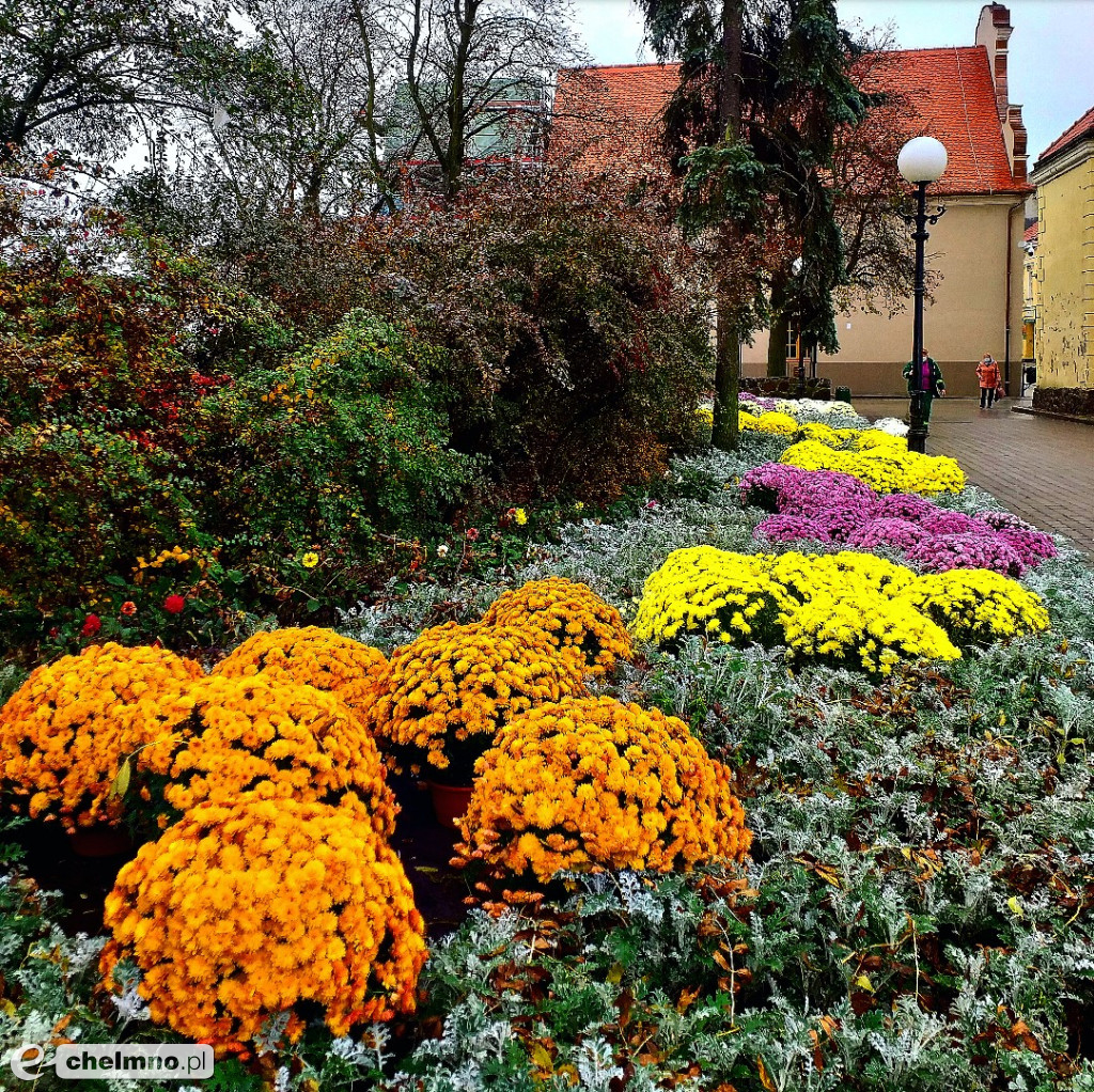 Akcja #zkwiataminamiasto zakończona