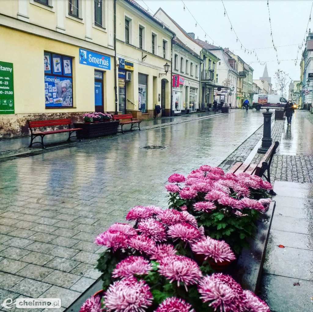 Akcja #zkwiataminamiasto zakończona
