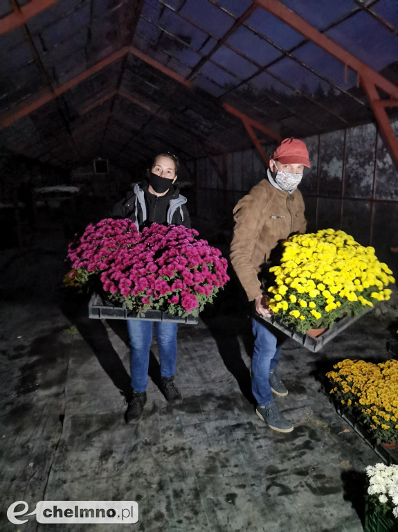 Solidarni z producentami kwiatów