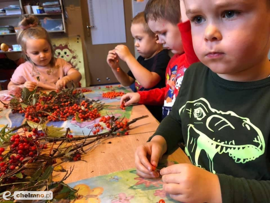 Migawki z życia przedszkolaków w Calineczce