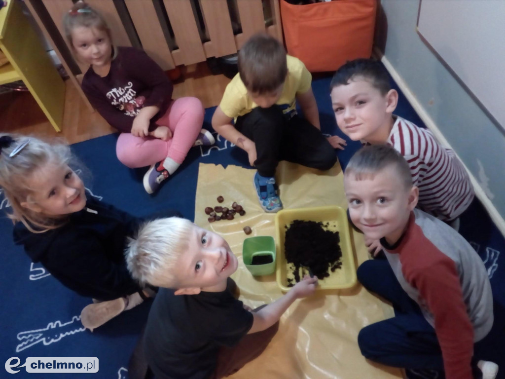 Migawki z życia przedszkolaków w Calineczce