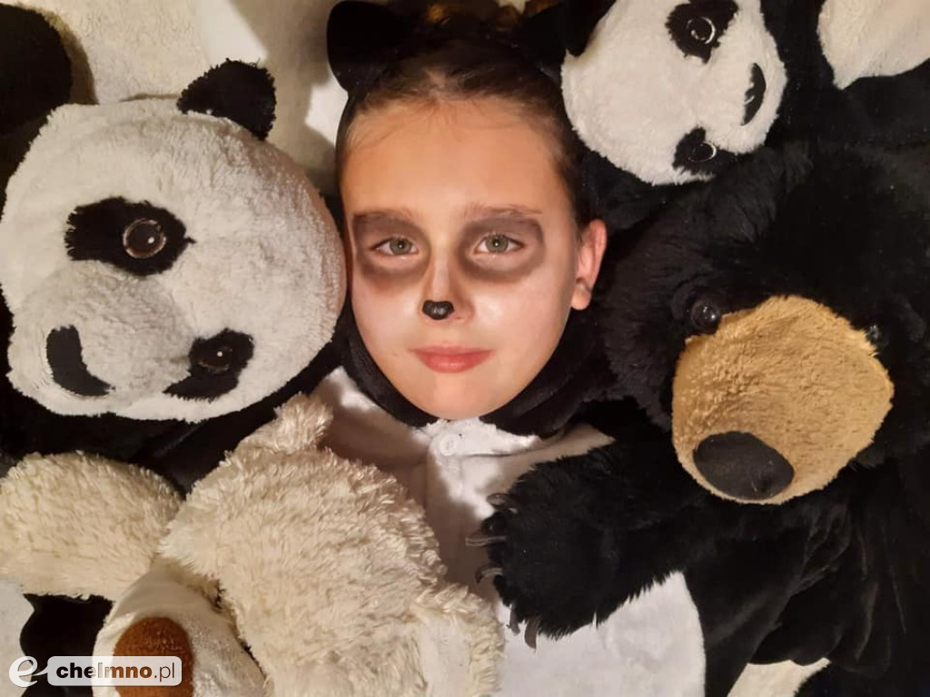 Tak świętowali Dzień Misia uczniowie Katolika