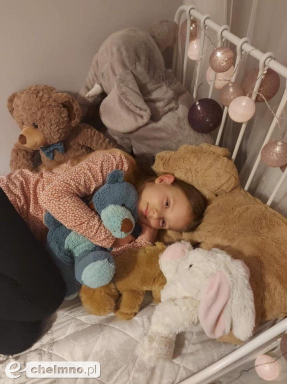 Tak świętowali Dzień Misia uczniowie Katolika