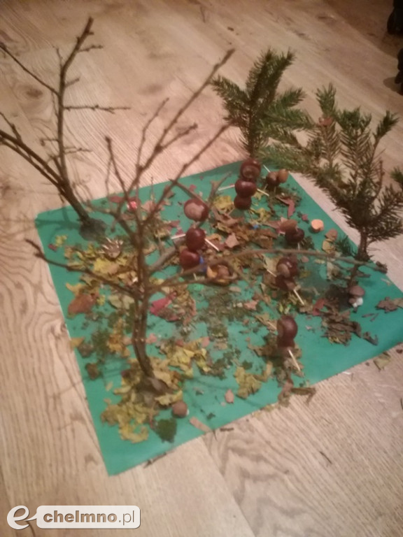 Konkurs jesienne grzybobranie rozstrzygnięty