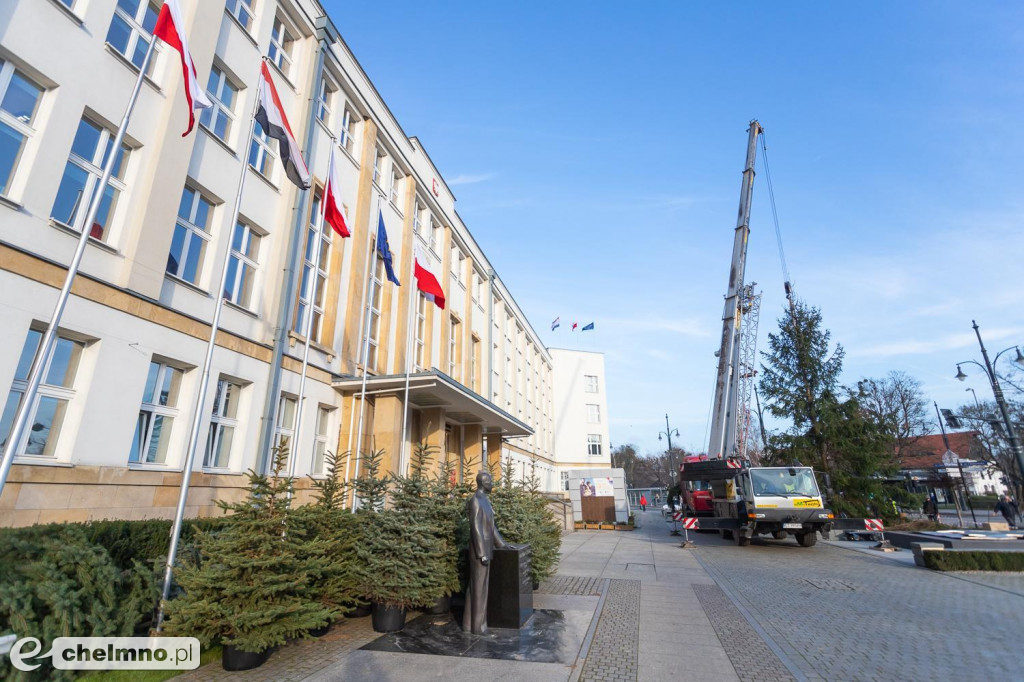 Nasze bożonarodzeniowe drzewko