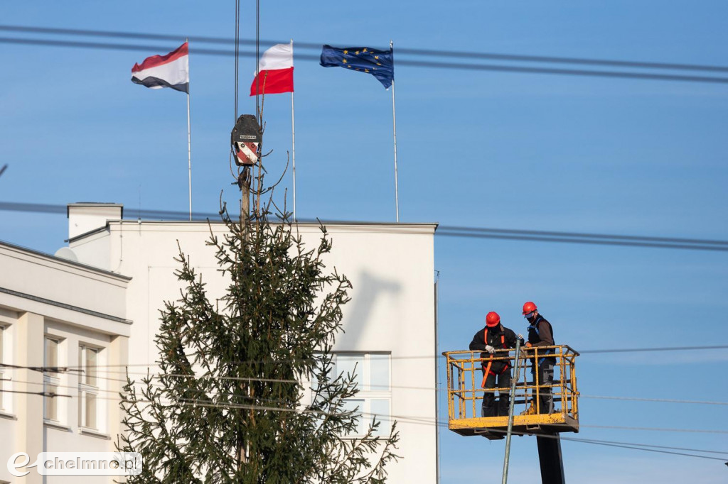 Nasze bożonarodzeniowe drzewko