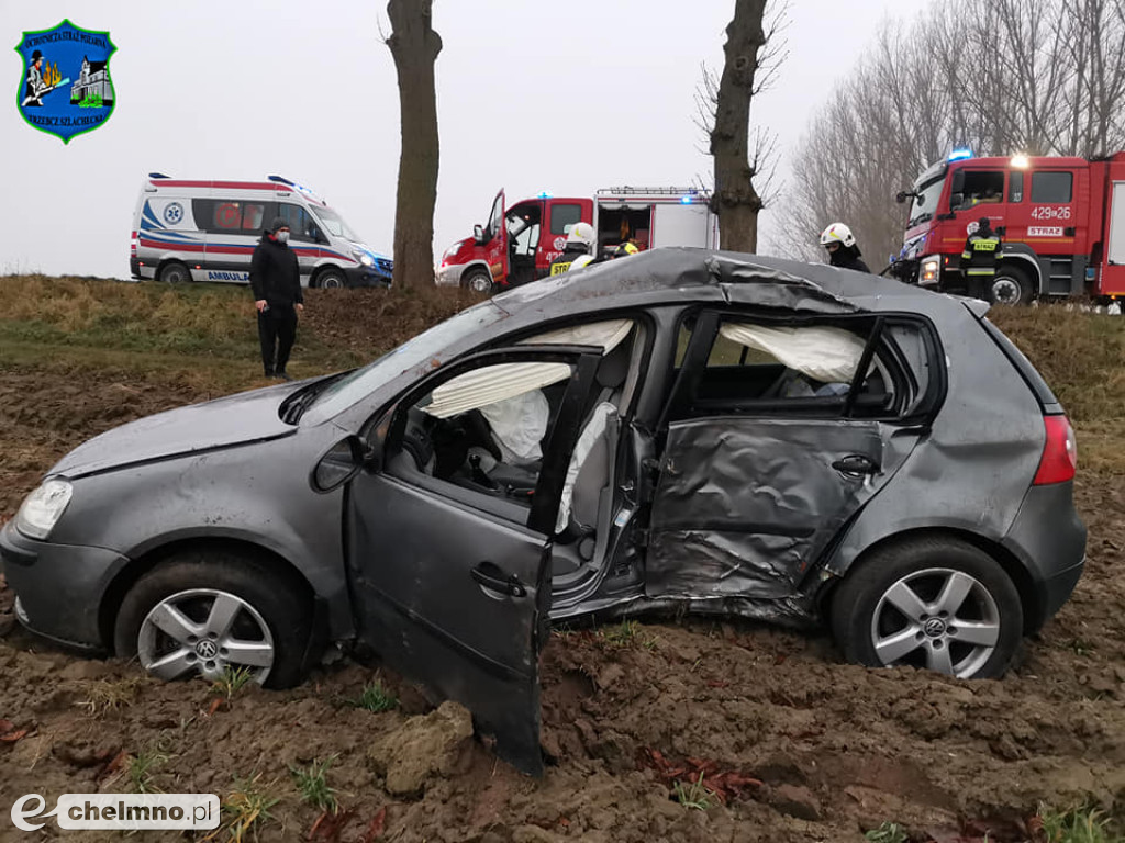 Uderzyła w drzewo i dachowała