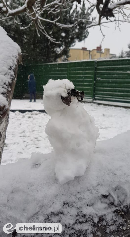 Przedszkolaki z Brzdąca w zimowym nastroju