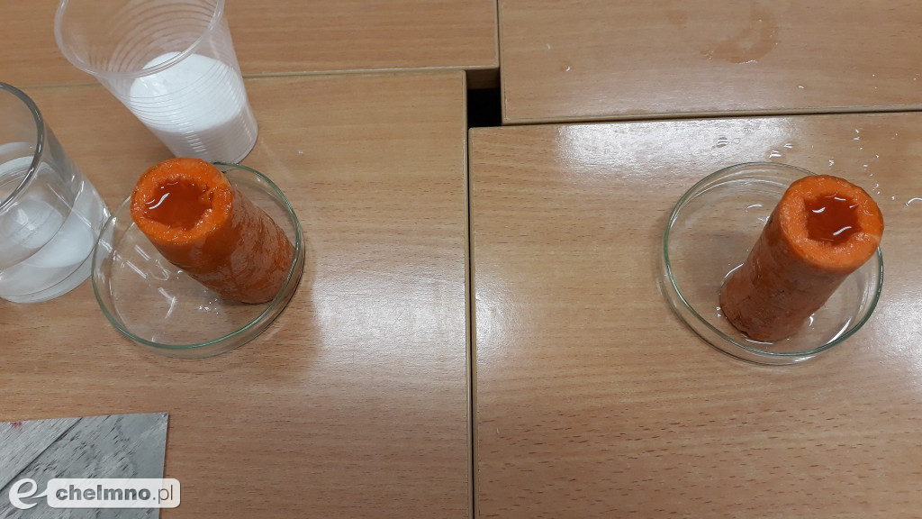 Uczniowie eksperymentowali na zajęciach z chemii