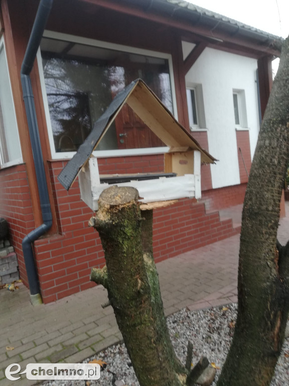 Uczniowie z Czwórki przygotowali karmniki dla ptaków