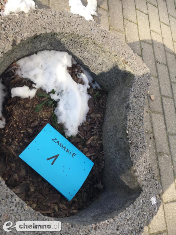 Zespołowa gra terenowa dla uczniów Katolika