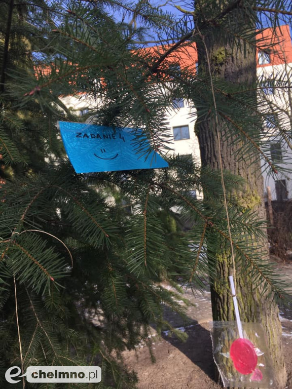Zespołowa gra terenowa dla uczniów Katolika