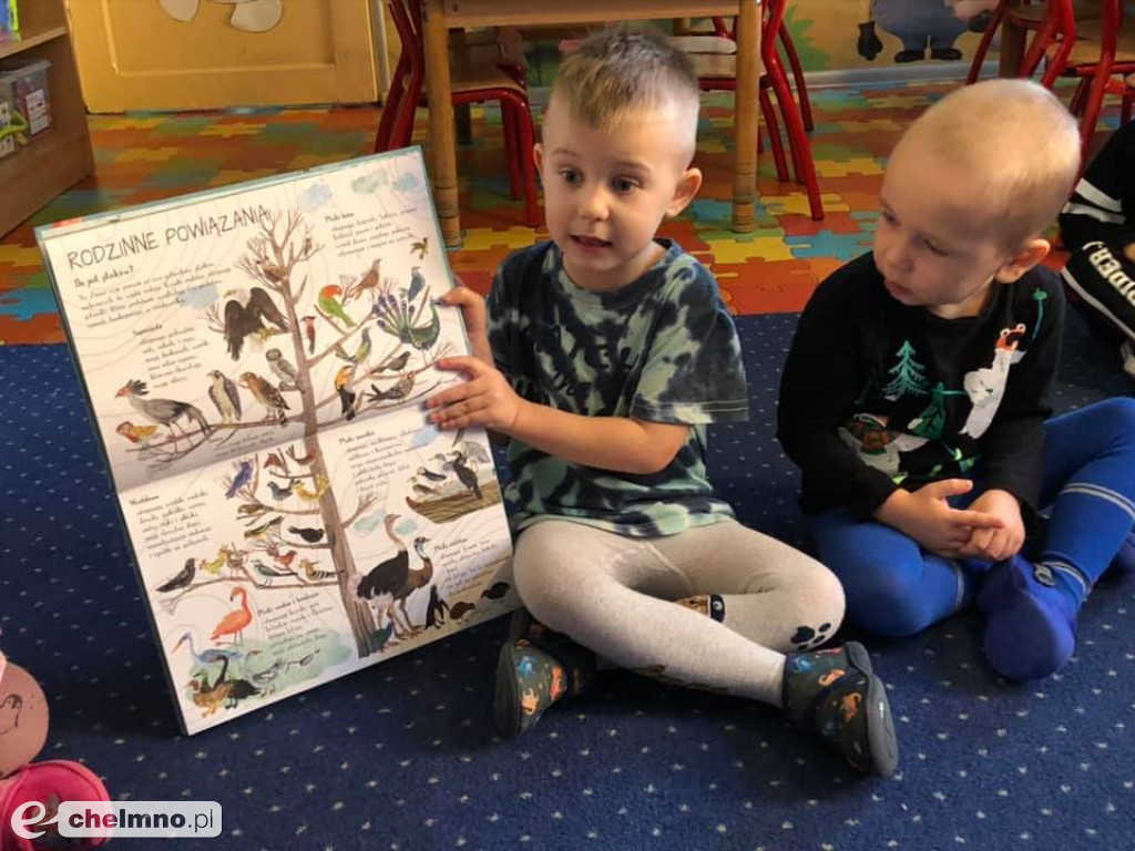 Motylki udały się do krainy ulubionych baśni