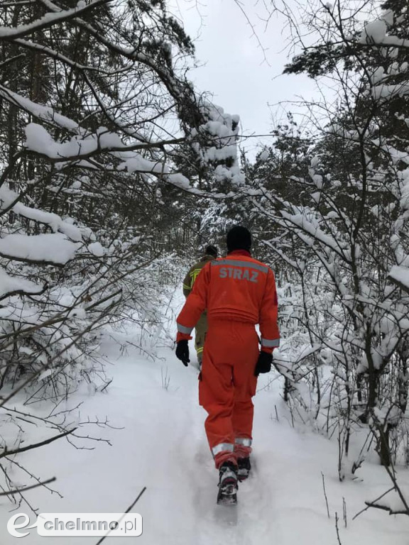 Zaginął Dariusz Kajut. Pomóżmy w poszukiwaniach