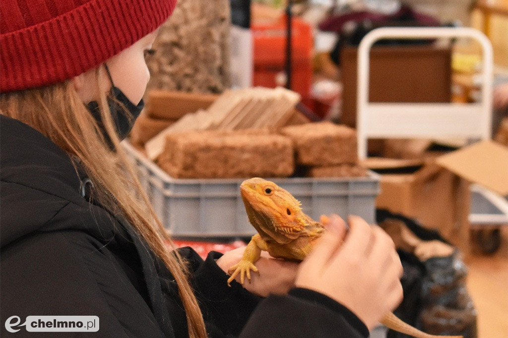 Wielu zainteresowanych na Targach Terrarystycznych