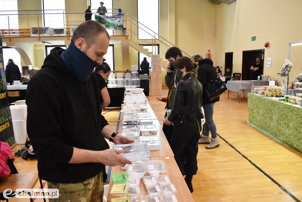 Wielu zainteresowanych na Targach Terrarystycznych