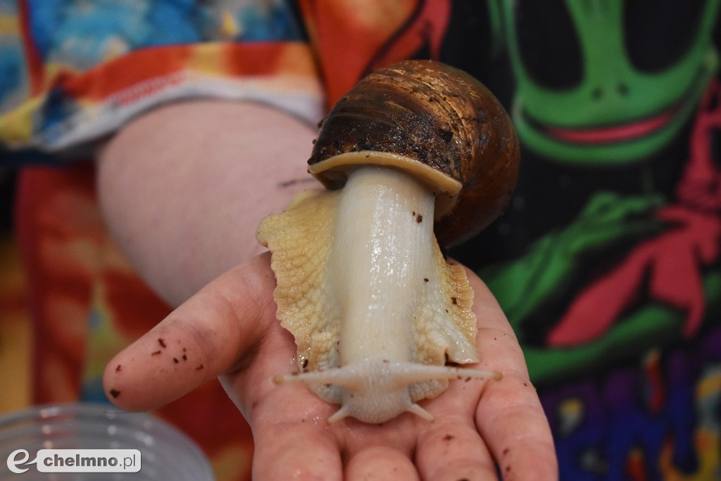 Wielu zainteresowanych na Targach Terrarystycznych